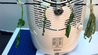 The Fastest Way To Dry Herbs  With a Dehumidifier [upl. by Mulvihill]