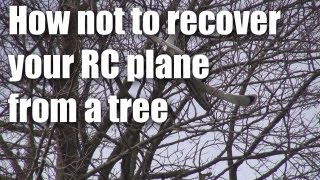 How NOT to get an RC plane out of a tree [upl. by Nyrad]