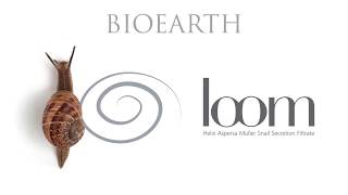 Loom by Bioearth Ecco come si ottiene la bava di lumaca [upl. by Erialcyram884]