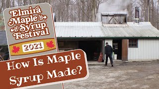 The Production Of Maple Syrup [upl. by Sacci]