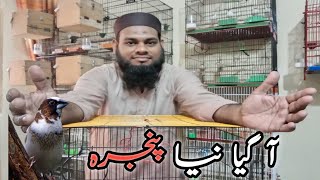 Best Cage For Birds l Very Cheap Price In Pakistan l V No 252 Sur Birds Channe [upl. by Arabele]