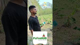 Jai kisaan Nano Dap banana crop feedback [upl. by Jadda]