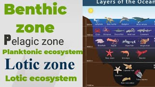 Benthic zone। Pelagic zone।Lotic ecosystem। Planktonic organism ncert biology SudheerSirJi [upl. by Pillyhp]