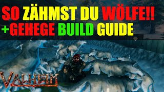 Valheim WÖLFE zähmen  Gehege GUIDE 🔥 TIPPS TRICKS Beginner Guide Tips tame deutsch [upl. by Bronwen235]