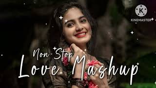 Non – Stop Love Mashup  Love Mashup 2024  Romentic Mashup  Slowed  Reverb   Hindi Mashup Songs [upl. by Youngman709]