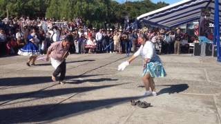 Cueca campesina en Ninhue fiesta de la vendimia [upl. by Attehcram]