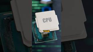 Whats INSIDE Your Processor [upl. by Rheinlander782]