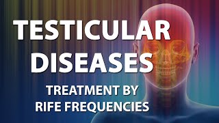 Testicular Diseases  RIFE Frequencies Treatment  Energy amp Quantum Medicine with Bioresonance [upl. by Cacilia]