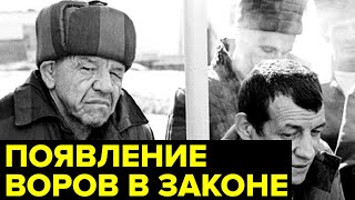 Зарождение ВОРОВСКИХ традиций История появления ВОРОВ в законе [upl. by Ermina]