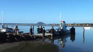 Matakana Island Ferry [upl. by Nannek820]