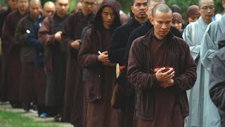 Le Bouddhisme Se Transformer Soi Meme Matthieu Ricard Documentaire Français [upl. by Macnair]