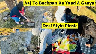 Our First DESI STYLE PICNIC In America  Fun Vlog  Picnic Food Ideas  Simple Living Wise Thinking [upl. by Lemrahs534]