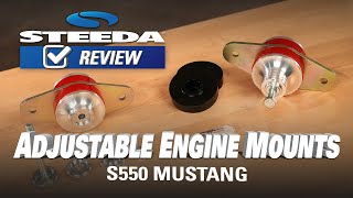 Steeda Mustang Adjustable Heavy Duty S550 Engine Mounts  Review [upl. by Siramed569]