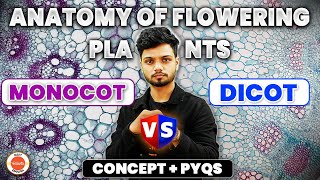 Anatomy of flowering plants  Monocot vs Dicot  Concept  PYQs  NEET 2025 Biology  Basavaraj Sir [upl. by Rayburn998]