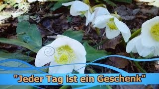 Jeder Tag ist ein Geschenk [upl. by Nuyh]