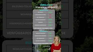 Bürgergeld vs Mindestlohn vermögen geldanlage vermögensaufbau [upl. by Annaohj]