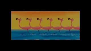 fantasia disney flamingos [upl. by Lacsap]