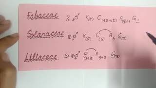 Floral Formula of Fabaceae Solanaceae and Liliaceae [upl. by Hutchison570]