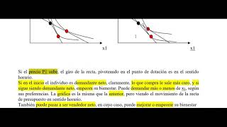 Modelo de demandas netas o de dotaciones iniciales [upl. by Eelyram]