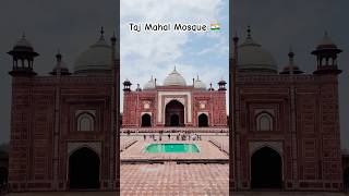 From the delicate carvings to the grand domes the Taj Mahal mosque is a masterpiece of Mughal art [upl. by Suoicul]