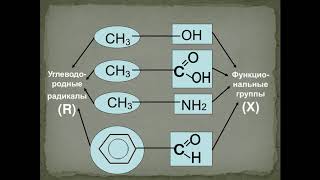 Химия 9 класс Тема quotКлассификация органических соединенийquot Вафина НГ [upl. by Illehs146]