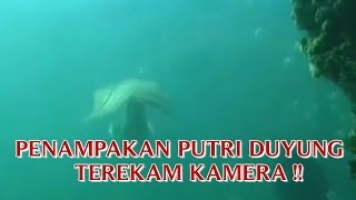 VIDEO PENAMPAKAN PUTRI DUYUNG quotASLI MASIH HIDUP TEREKAM KAMERAquot PENAMPAKAN PUTRI DUYUNG NYATA [upl. by Aninep]