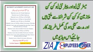 MATERNITY amp PATERNITY LEAVE ACT 2023  Implementation of Such Leave  Employees Corner Zia [upl. by Lednek8]