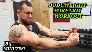 Intense 5 Minute At Home Forearm Workout 2 [upl. by Eleets]