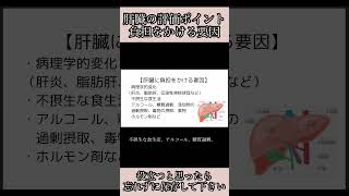 【肝臓の評価ポイント】肝臓を評価する際に見た方がいいポイント、肝臓に負担をかける要因、 [upl. by Beane]