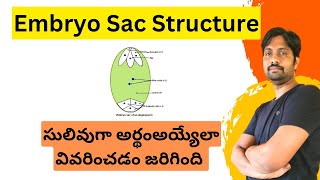 Embryo sac Structure Explained in Easy Way [upl. by Jary]