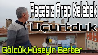 Paçasız Arap Kelebek Uçurtduk Gölcük Hüseyin Berber [upl. by Katina]