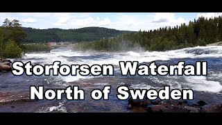 Storforsen Waterfall «Жемчужина севера Швеции» Водопад с бурными порогами [upl. by Ackerman]