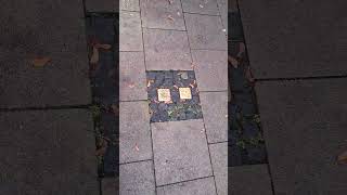 Stolpersteine 315 [upl. by Ennovaj927]