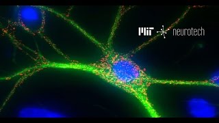 MIT Neurotech From Neuron Signals to Behavior Microelectrodes [upl. by Danika]