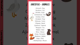 How to speak Ojibwe Animals language lessons ojibwe fy [upl. by Horton]