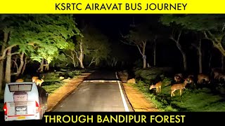 KSRTC AIRAVAT B9R BUS JOURNEY THROUGH BANDIPUR FOREST  Mudumalai Tiger Reserve🐯 [upl. by Rossi973]