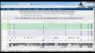 3 UCSC Genome Browser Tutorial BLAT [upl. by Cookie]