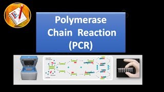 Basic Concepts 01  Polymerase Chain Reaction PCR [upl. by Dunaville]