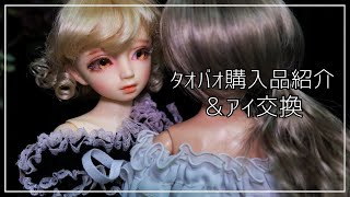 購入品紹介＆ドールのアイ交換｜キャストドール｜スーパードルフィー [upl. by Llerahc]