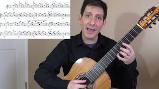 Guided Lesson Estudio Study in e minor  Francisco Tárrega Philip Hemmo classical guitar [upl. by Ezmeralda741]