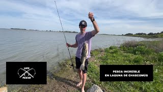 Pesca increíble en laguna de Chascomús [upl. by Bryanty]