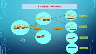 La génétique pas à pas LES MUTATIONS CHROMOSOMIQUES  Aneuploïdie structure [upl. by Nwahsid348]