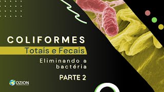 Como eliminar coliforme total e fecal E coli parte2 [upl. by Dewhirst]