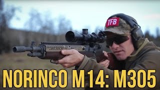 Norincos M14 M305 or Dominion Arms SOCOM 18 [upl. by Kinsley]