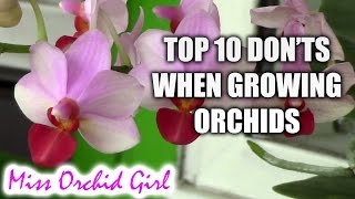 Top 10 DONTs when Growing Orchids  tips for orchid beginners [upl. by Stan]