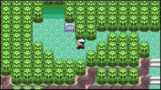 Pokemon Emerald  Part 11 Catching all 12 Legendaries [upl. by Venezia]