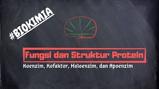 Kofaktor Koenzim Holoenzim dan Apoenzim  Fungsi dan Struktur Protein [upl. by Alfredo]