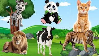 Lovely animals sounds around us Dog Chicken Elephant Giraffe Rhino  Animal Videos [upl. by Bran]