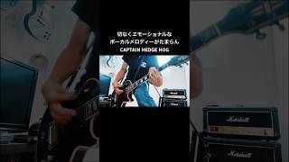 エモーショナルなボーカルが最高のメロコアと言えばCAPTAIN HEDGE HOG shorts キャプヘジ 宅録パンクギタリスト guitar [upl. by Elmo]