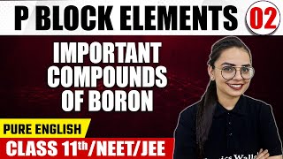 P BLOCK ELEMENTS 02  Important Compounds Of Boron  Chemistry  Pure English  Class 11thNEETJEE [upl. by Iana]